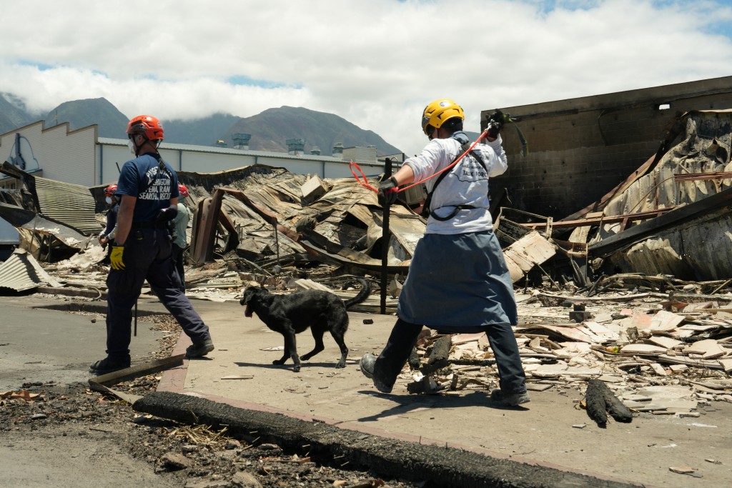 夏威夷當局指，救援人員只搜索災區38%範圍，會增派救援人員和搜索犬。AP/路透