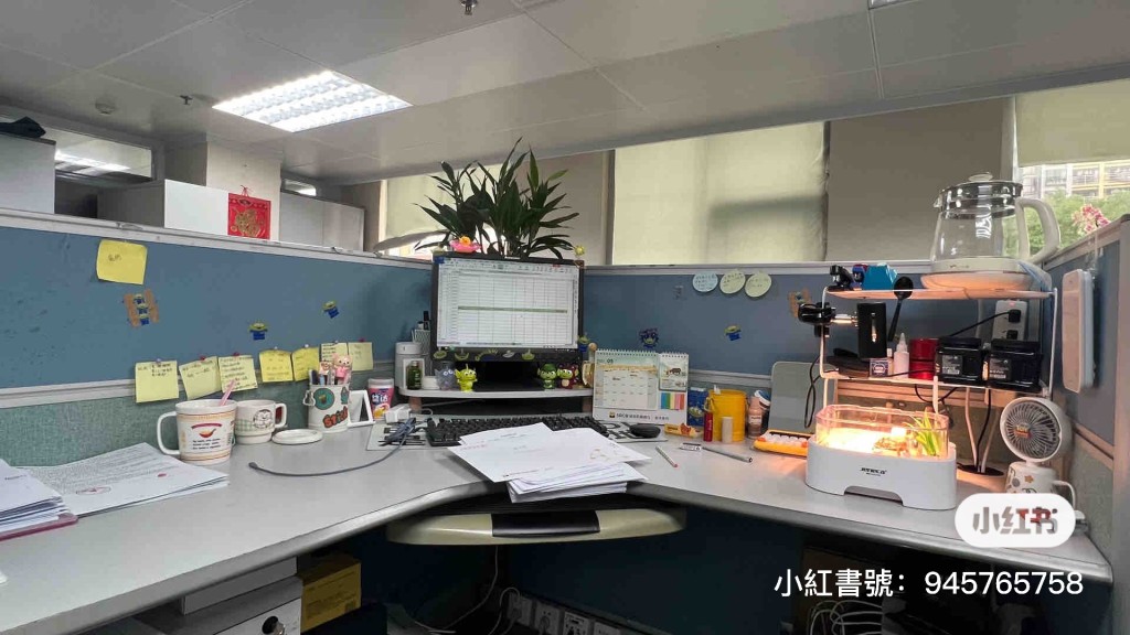 網民分享生生不息系辦公桌。（圖片來源：小紅書@TRInA）
