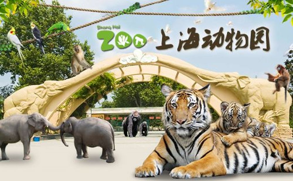 上海動物園位於上海市長寧區虹橋路2381號，始建於1954年。