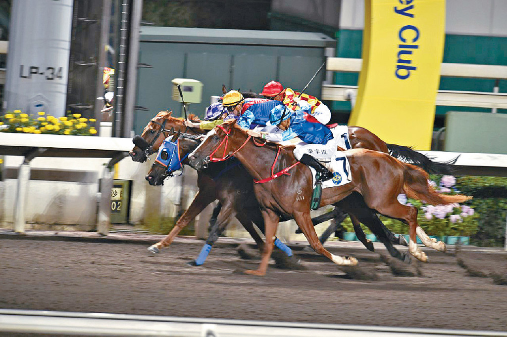 ■潘頓與丁冠豪昨晚都3W，包括合作勝出「泉龍駒」（黃帽藍衫）。