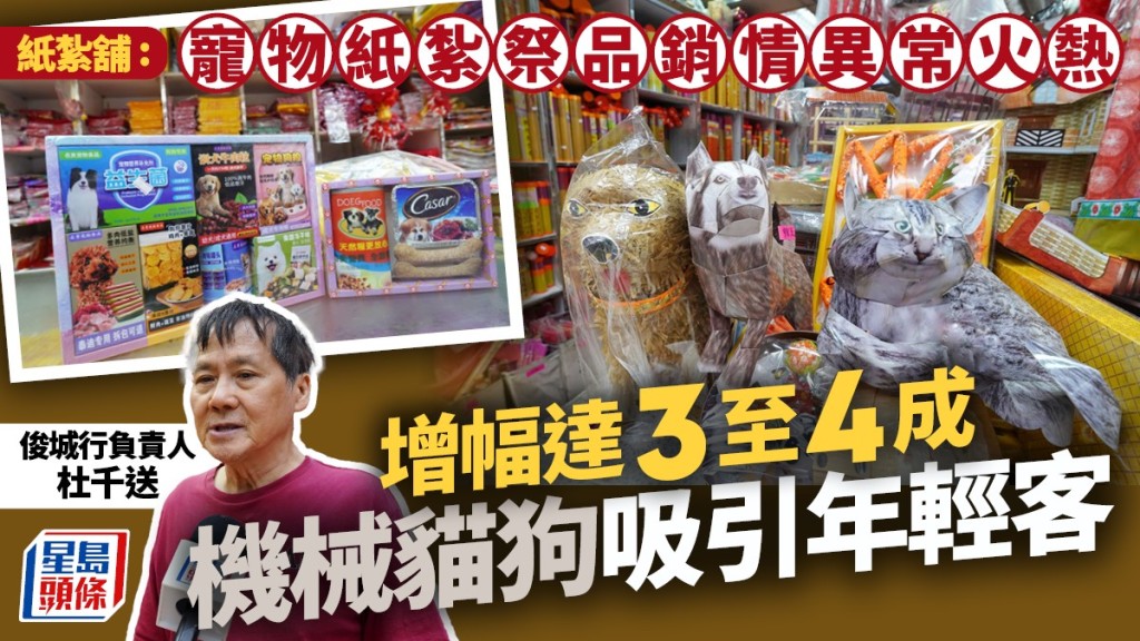 清明節｜紙紮舖 : 寵物紙紮祭品銷情異常火熱  機械貓狗吸引年輕客