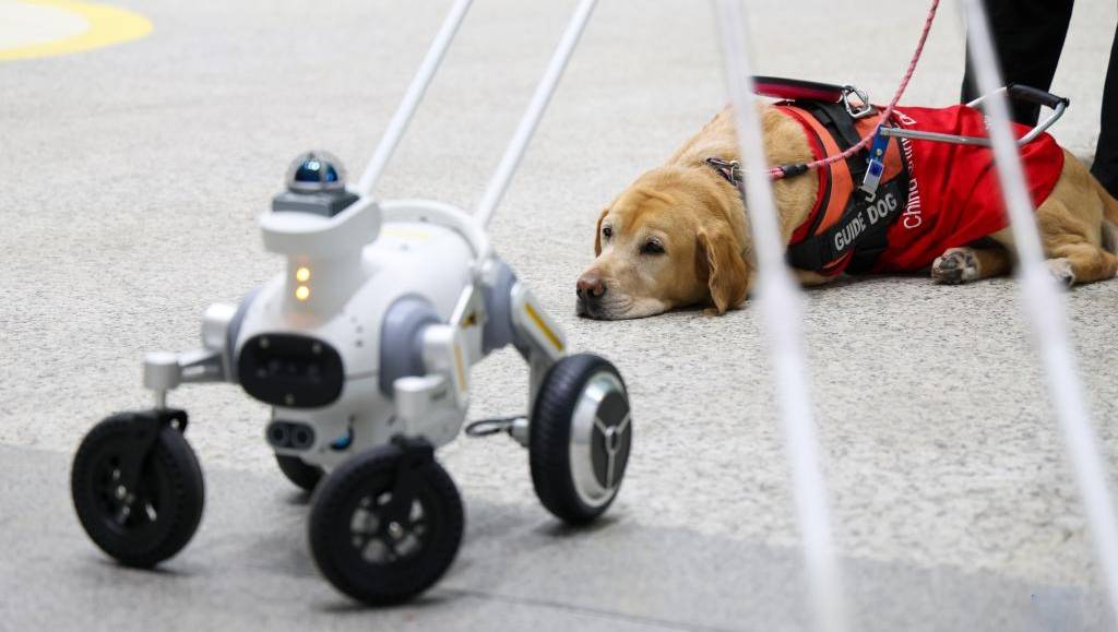 深圳地鐵智能導盲犬服務視障人士。