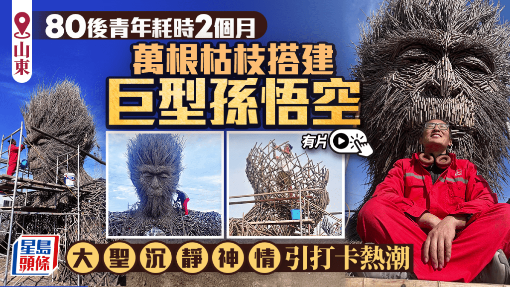 民間高手｜山東男耗時2個月 萬根枯枝搭出巨型齊天大聖｜有片