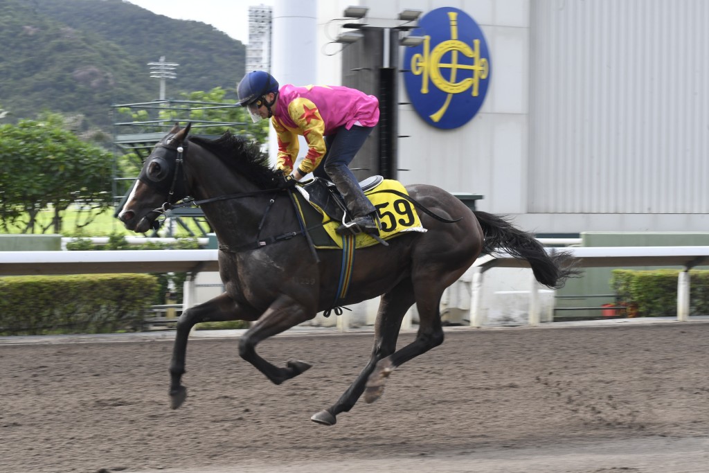 「奖金大少」神态生猛双目有神，状态有进无退。