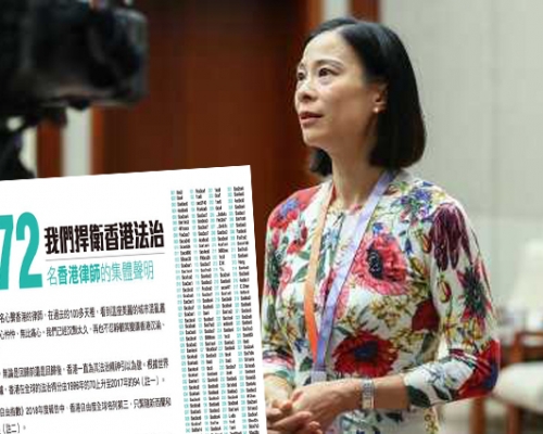 港區全國人大代表、中小型律師行協會會長陳曼琪。 資料圖片