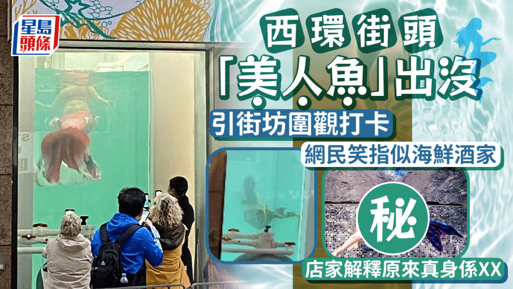 西環街頭驚現美人魚引街坊圍觀!店主親身回應揭真相 網民反追問:還請人嗎?