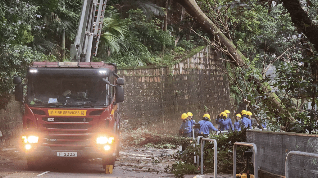 消防到場後，架起升降台，用電鋸把樹枝劏開移走。黎志偉攝