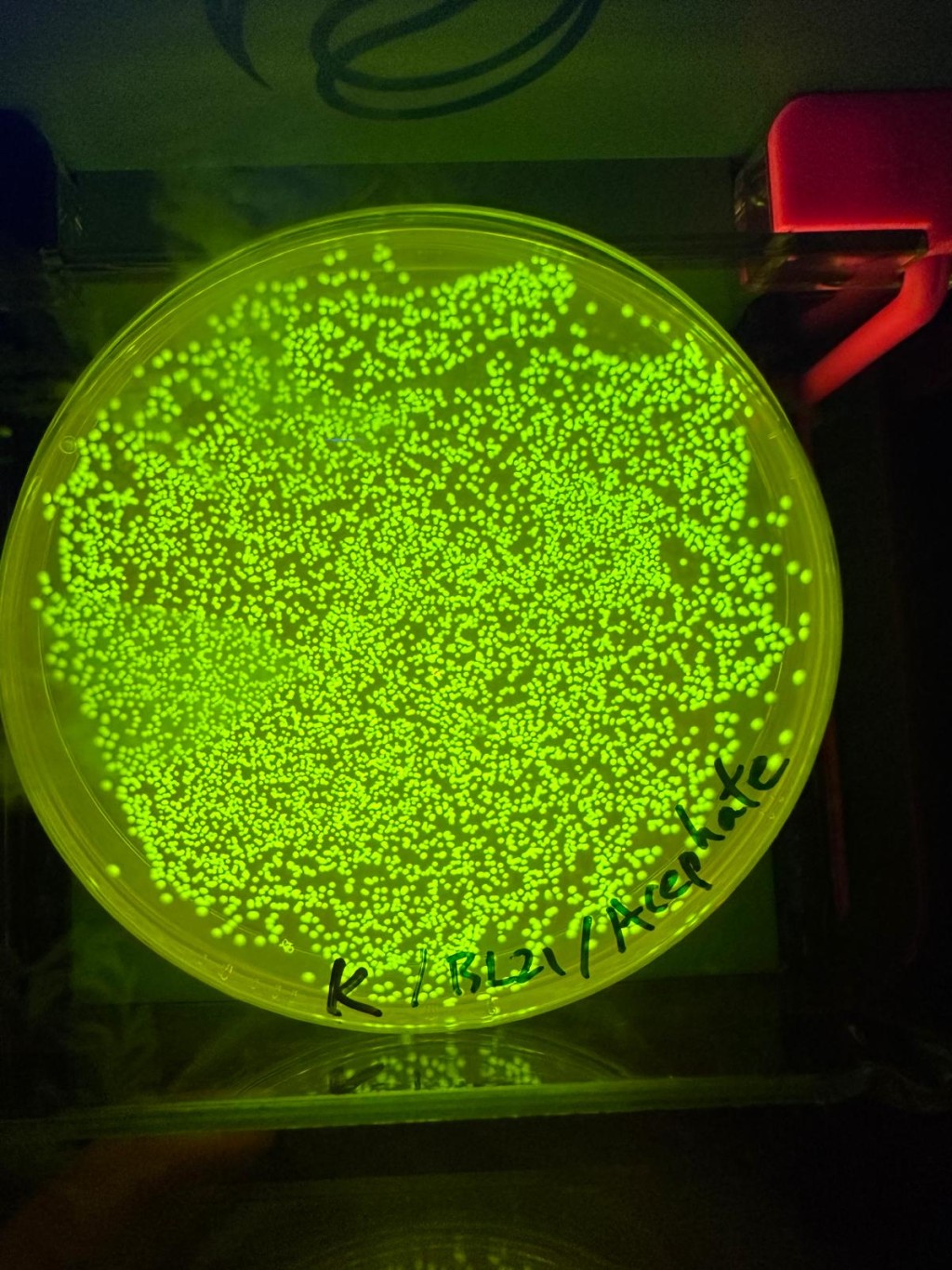 「PestiGuard」採用嶄新基因電路技術,以可量化的視覺輸出呈現檢測結果。受訪者提供 「PestiGuard」採用嶄新基因電路技術,以可量化的視覺輸出呈現檢測結果。受訪者提供