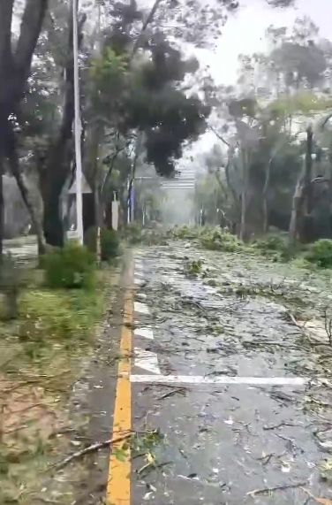 有網民拍下受颱風樺加沙影響下，深圳路面情況。