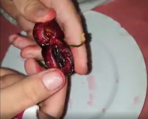 有人切開車厘子發現有白色蟲子。facebook新手爸媽影片截圖