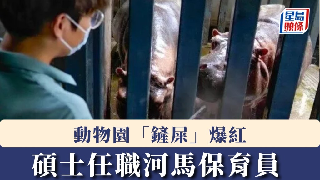 碩士任職河馬保育員，每日清理500斤糞便。