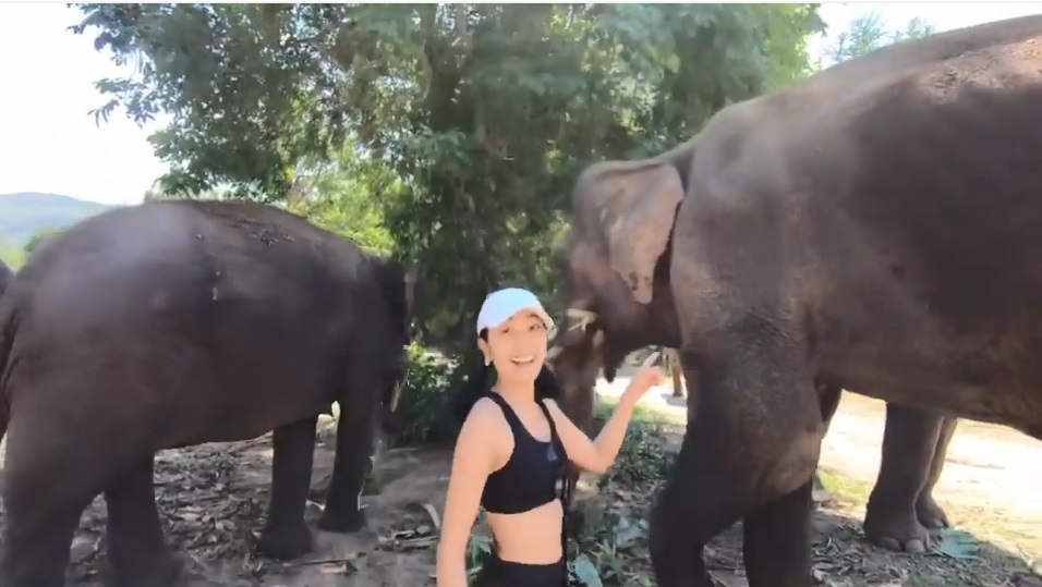 姜麗文去探訪大象保護區，近距離接觸大象。