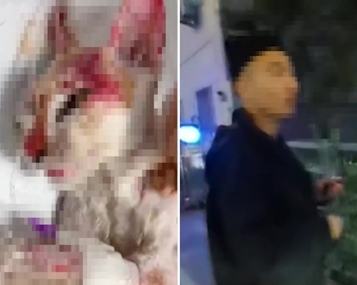 男子將流浪孕貓關到籠子裏用滾水燙。(網圖)