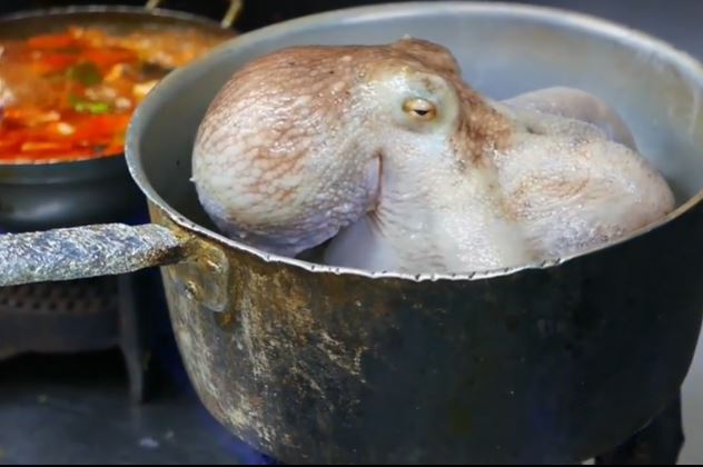 活章鱼是南韩有名料理，但也易生窒息意外，建议煮熟才吃。