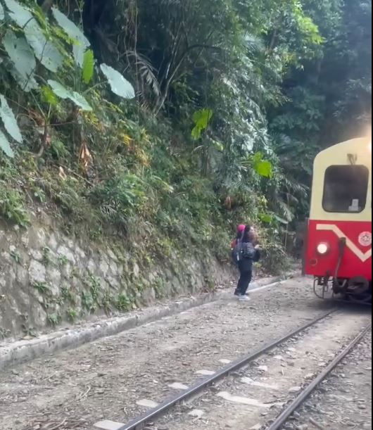 遊客走入阿里山路軌旁拍照。