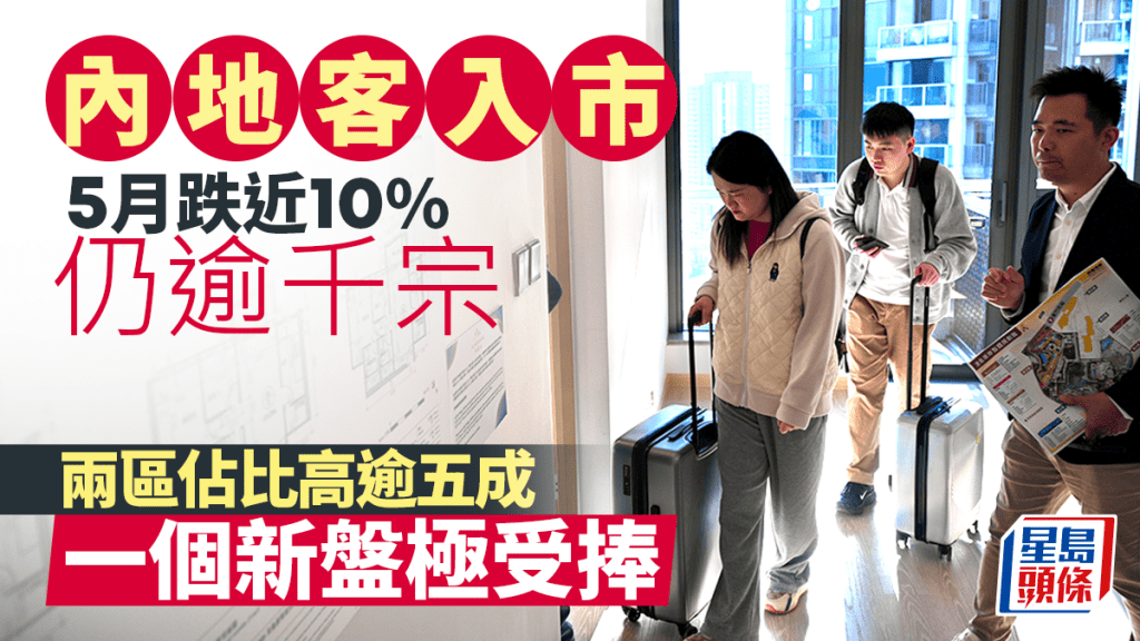 內地客5月入市跌近10%仍逾千宗 兩區佔比高逾五成 一個新盤極受捧