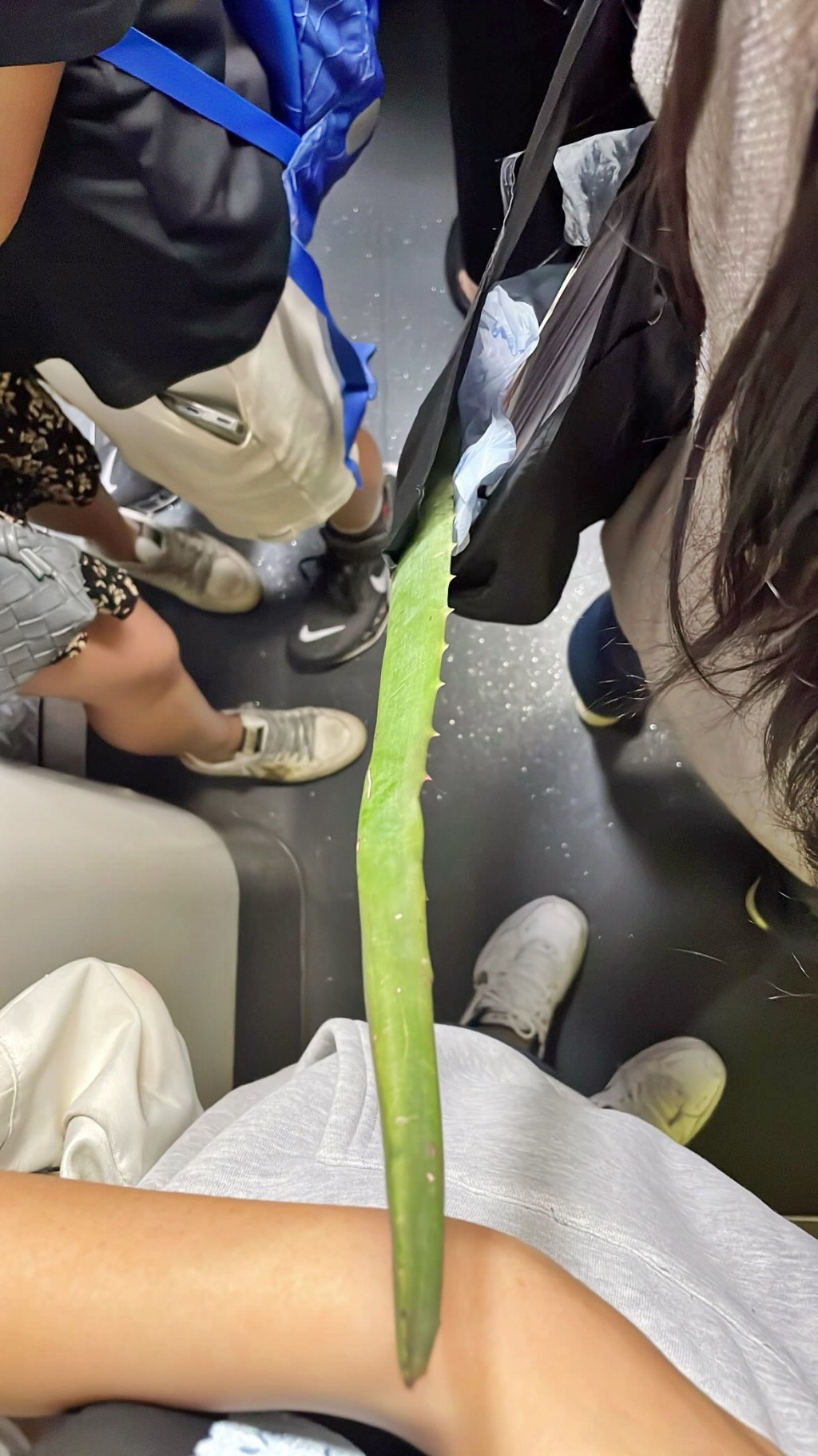 Threads截圖(資料來源:foxhaha_@Threads) Threads截圖(資料來源:foxhaha_@Threads)