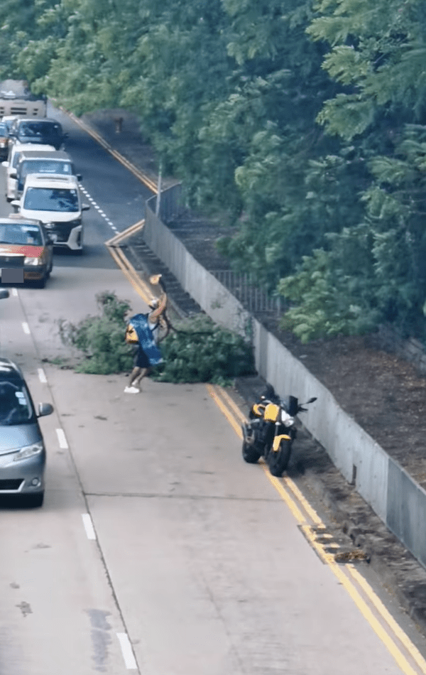 一名電單車手早上發現有大型樹枝塌下並阻塞行車線，隨即下車獨自移開樹枝。「馬路的事 (即時交通資訊台)」影片截圖