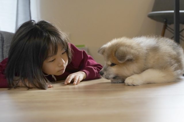 (圖片來源:PhotoAC) (圖片來源:PhotoAC)