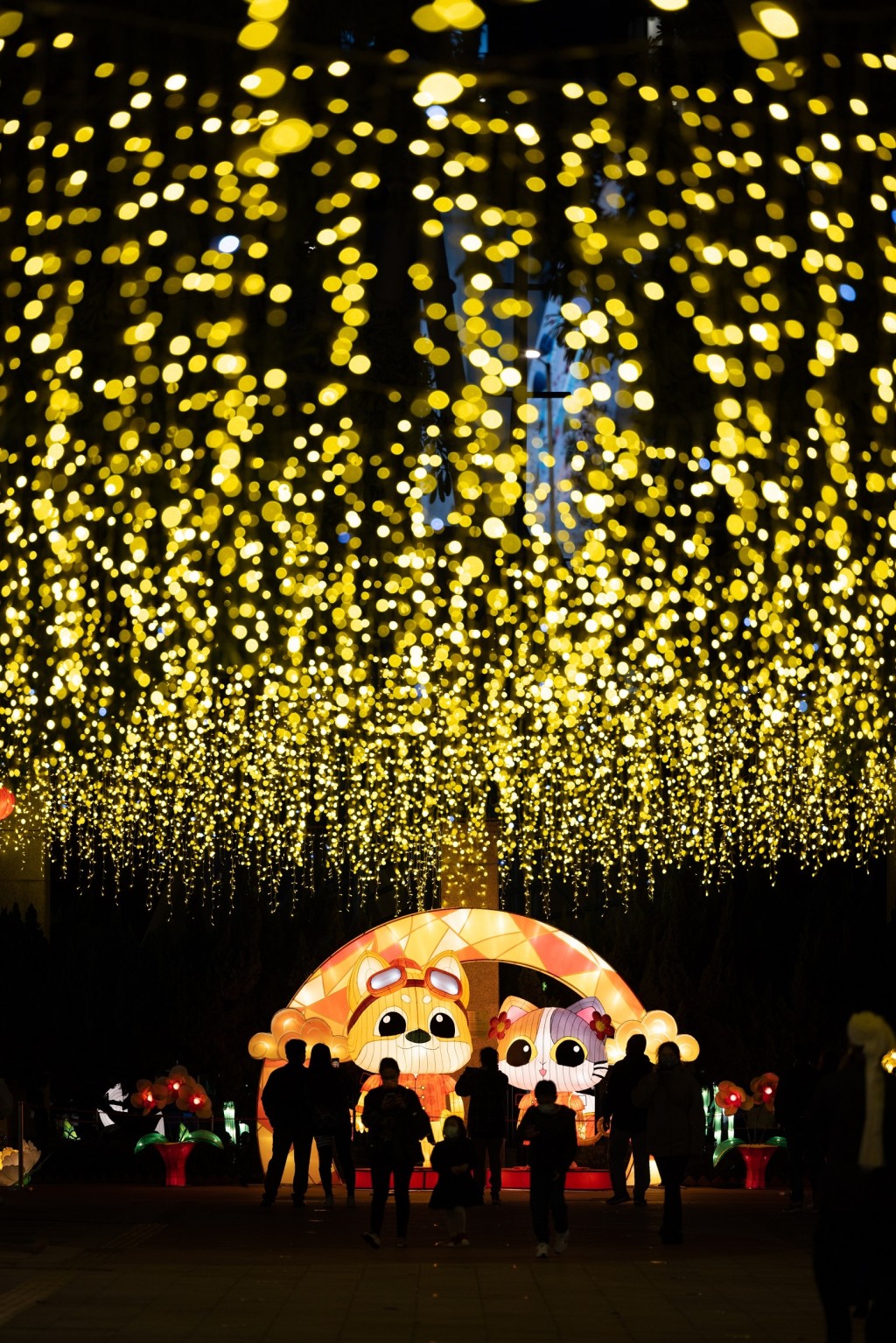荃灣公園舉行的新界西元宵綵燈展。政府新聞處圖片