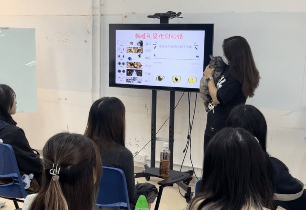 導師向青少年教授如何護理貓咪，並以手中的貓咪示範講解。(方塊貓提供)