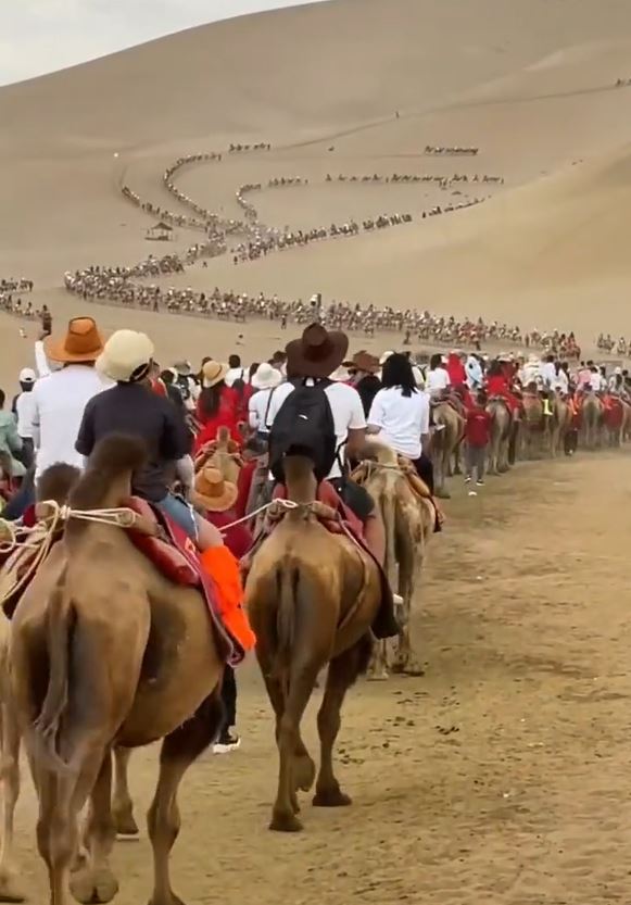 數百計的遊客騎著駱駝遊覽敦煌，令當地出現「塞駱駝」奇景。影片截圖