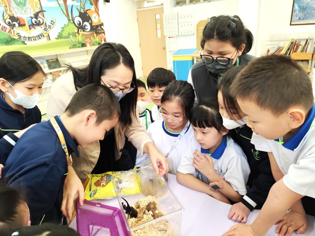 鳳溪廖潤琛紀念學校期望以甲蟲為主題的教學,培養學生的責任感。受訪者提供 鳳溪廖潤琛紀念學校期望以甲蟲為主題的教學,培養學生的責任感。受訪者提供