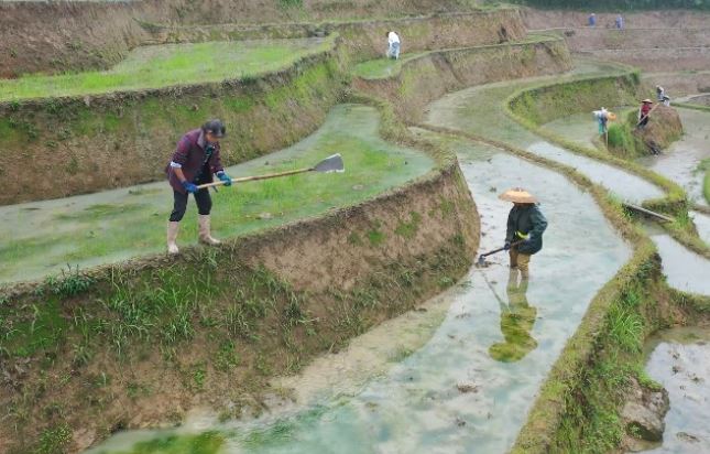 圖為婁底市新化縣紫鵲界梯田景區。央視截圖