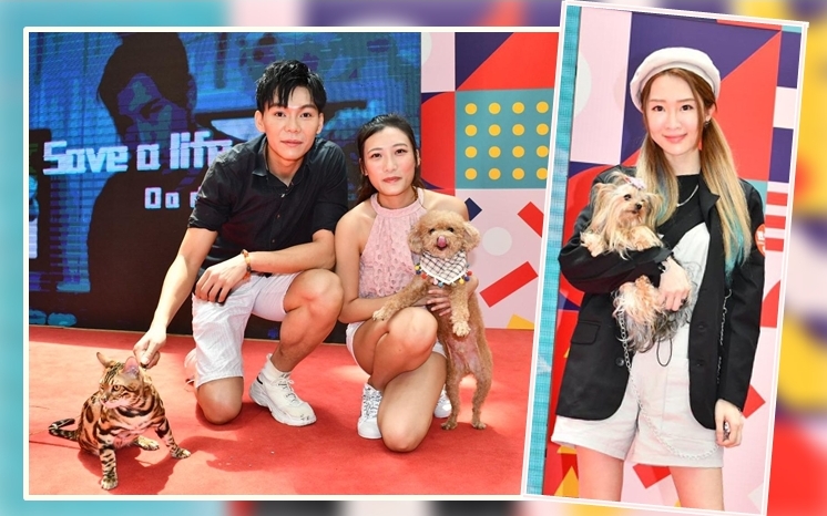 鍾雨璇、曾頌珊及高晉帶寵物現身攝影比賽活動。