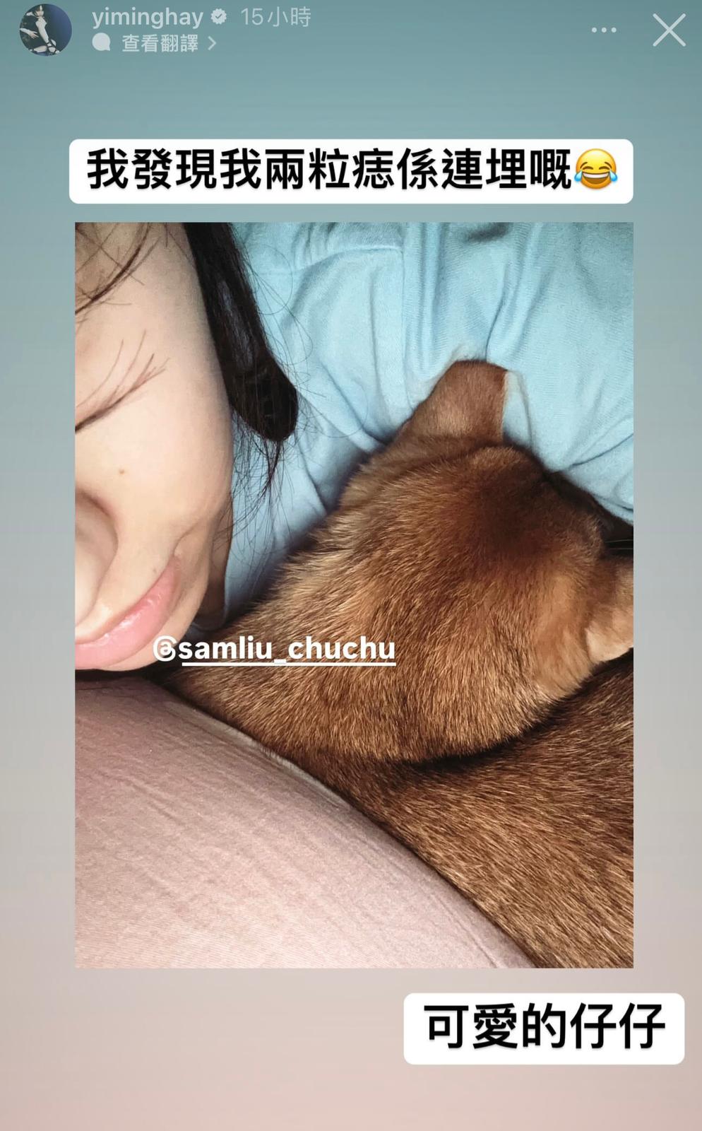 炎明熹仍然去向未明。 炎明熹仍然去向未明。