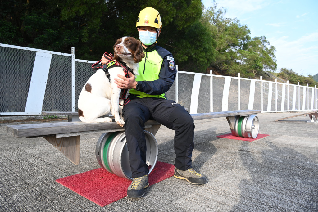 領犬員蔣天朗與英國出生的搜救犬Twix建立默契與信任。資料圖片