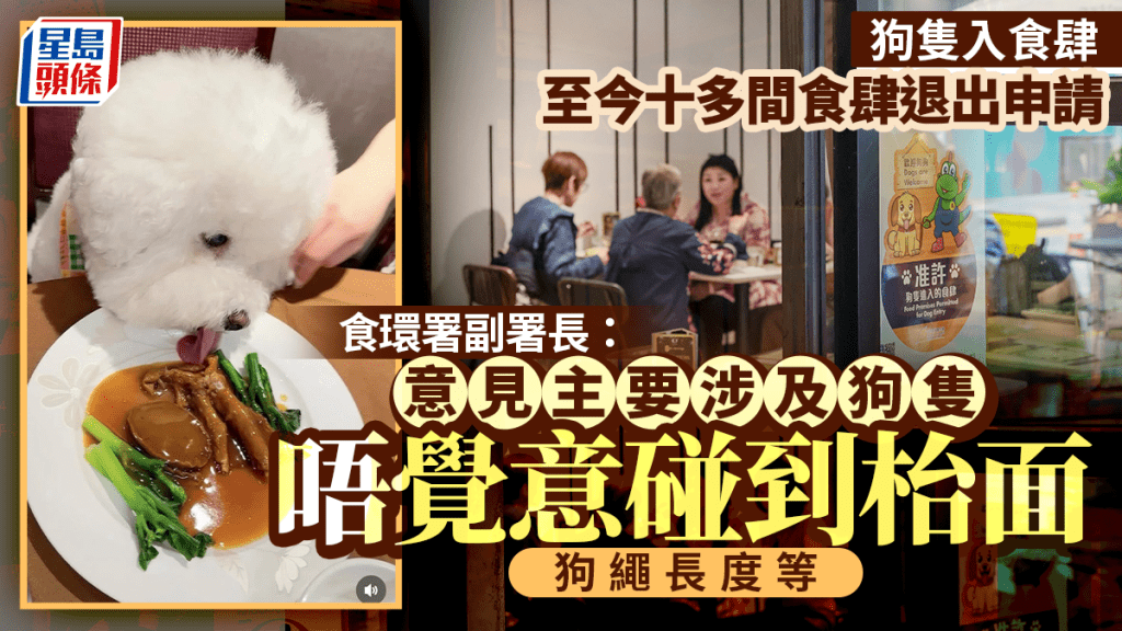 狗隻入食肆︱食環署：約十多間食肆退出申請 收到意見主要涉及狗隻「唔覺意碰到枱面」