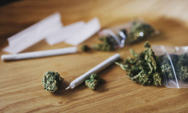 新奧爾良警察證物房的大麻被老鼠吃掉。 iStock配圖