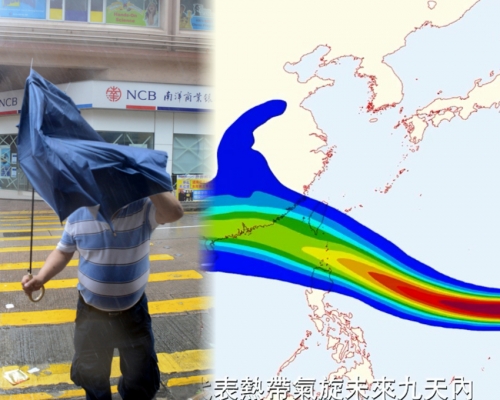 色彩奪目的「熱帶氣旋路徑概率預報圖」反映熱帶氣旋未來移動趨勢。