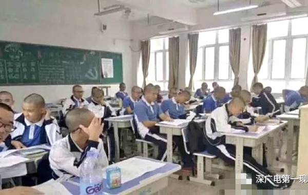全部都剪光頭。網圖