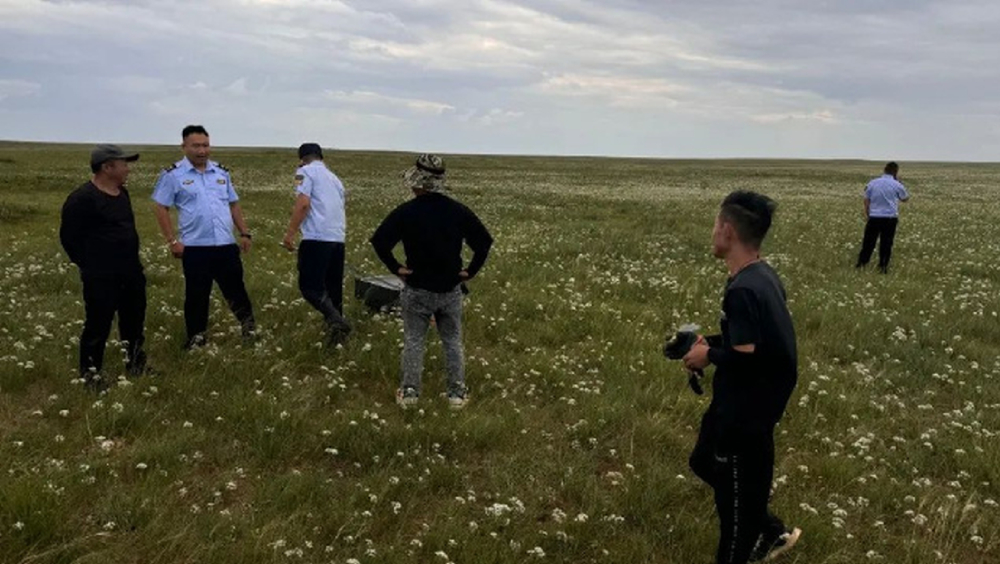 內蒙古24人因採摘野生植物被查處，網民質疑採野生蘑菇也犯法？