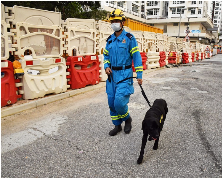 消防派出搜索犬到場協搜索。