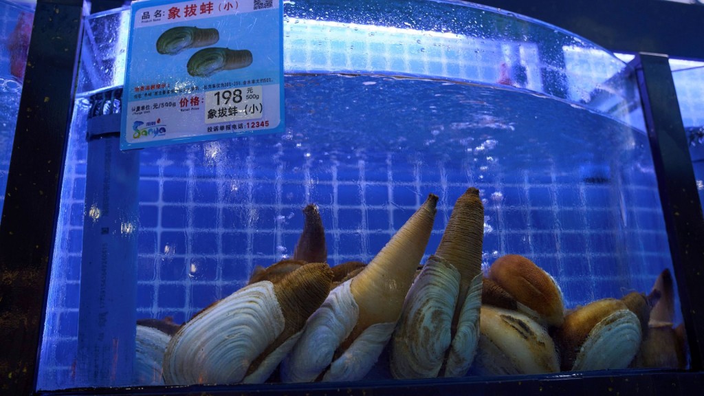中國南部海南省三亞市一間海鮮餐廳的象拔蚌。  美聯社