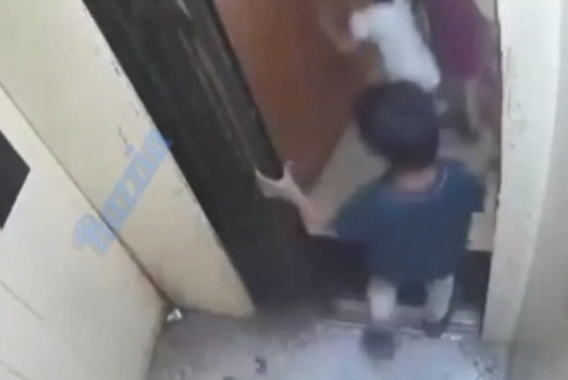 5歲男童被困升降機縫隙前一刻。網圖