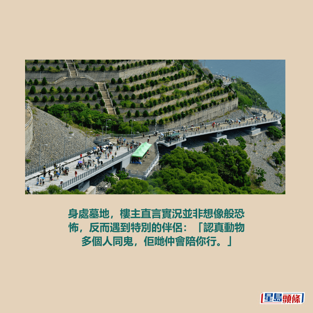 資料圖片 資料圖片