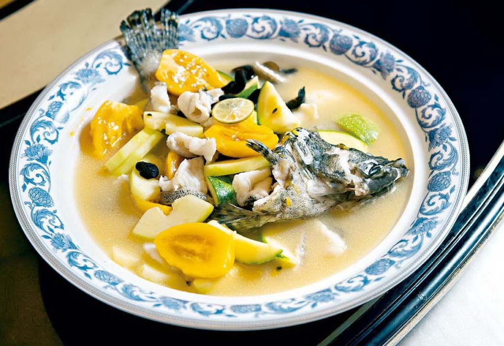 西雙版納樹茄石斑魚 西雙版納樹茄石斑魚