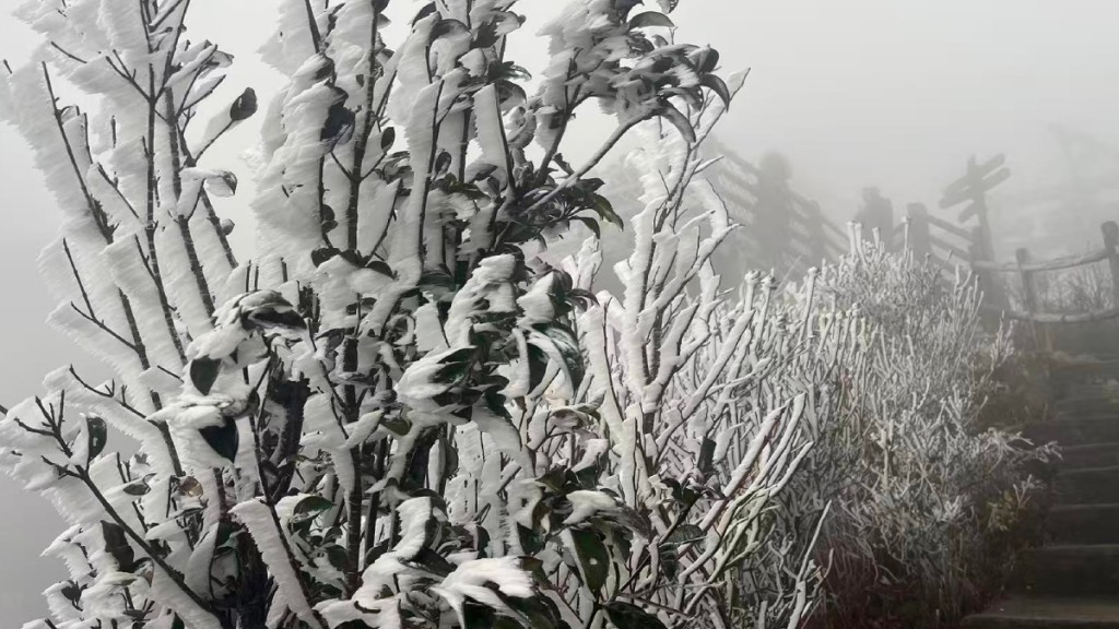 粵北山區金子山出現冰掛。微博@清遠天氣