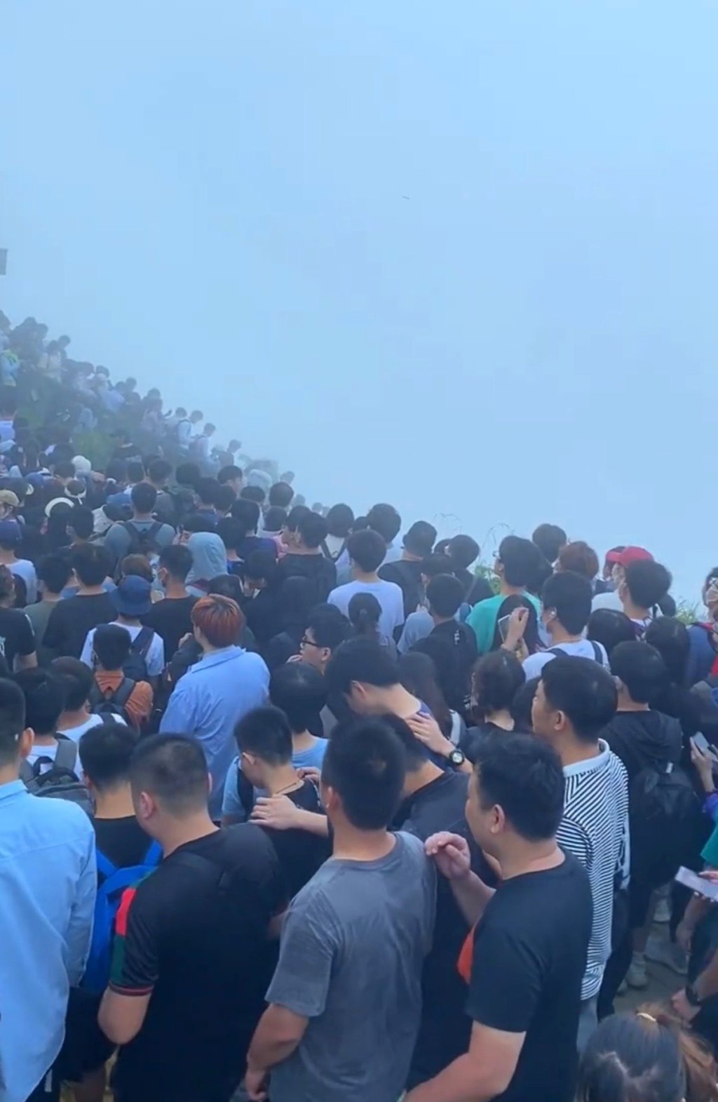 五一梧桐山。小红书