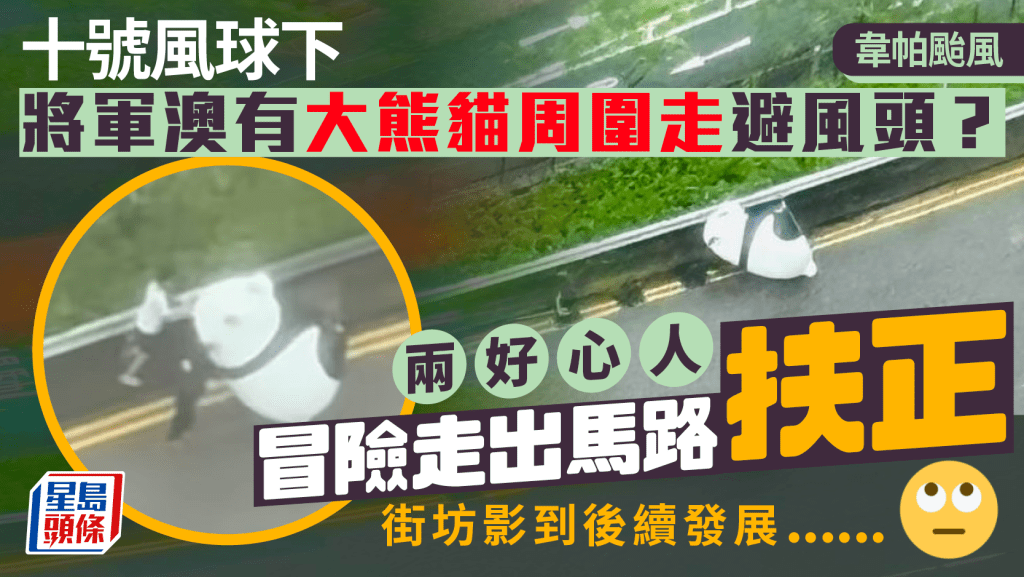 韋帕颱風｜十號風球下 將軍澳有大熊貓周圍走避風頭？ 好心人冒險扶正 街坊影到後續發展......
