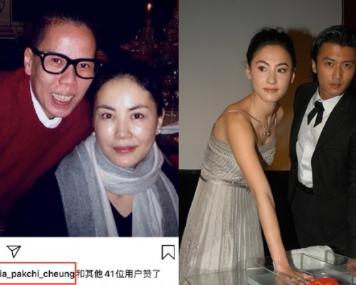 栢芝點讚前夫現任女友王菲的照片惹熱議。