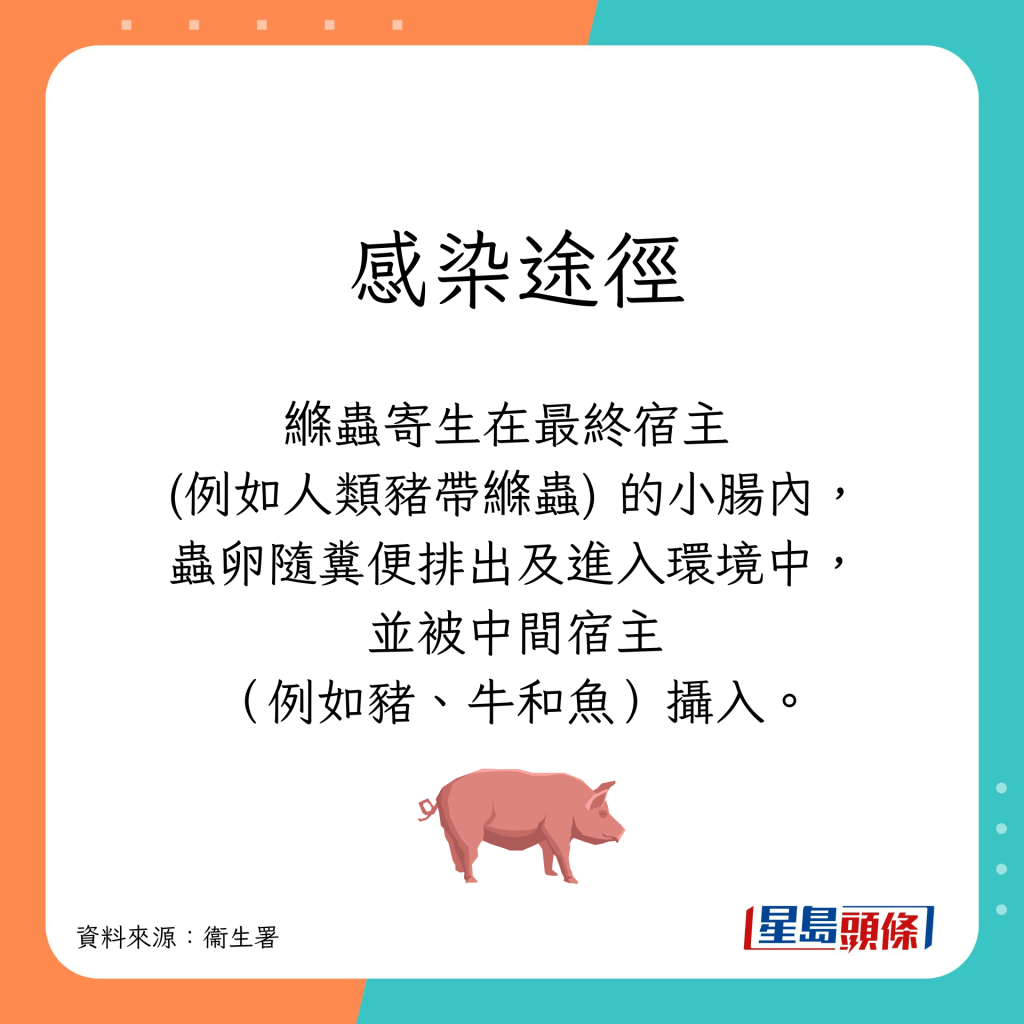 縧蟲寄生在最終宿主 (例如人類豬帶縧蟲) 的小腸內, 蟲卵隨糞便排出及進入環境中,並被中間宿主(例如豬、牛和魚)攝入。