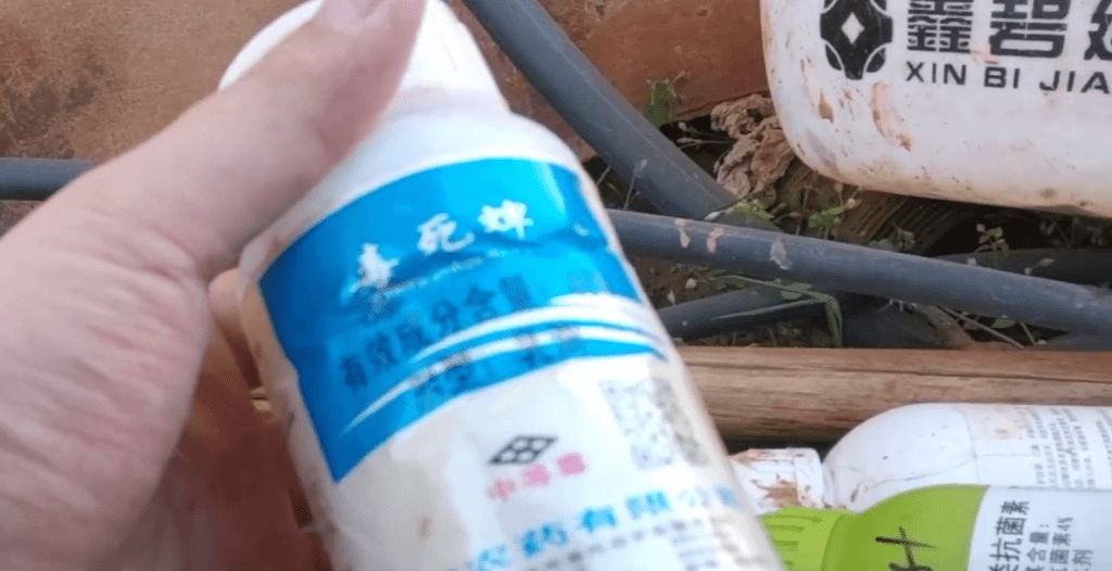 種植士多啤梨，部分農戶被指存在濫用農藥的情況。