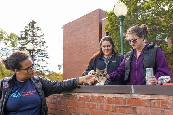 Max火速成為最受歡迎的校貓。佛蒙特州立大學圖片