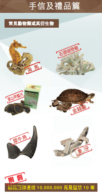 海關禁帶物品——常見動物類或其衍生物