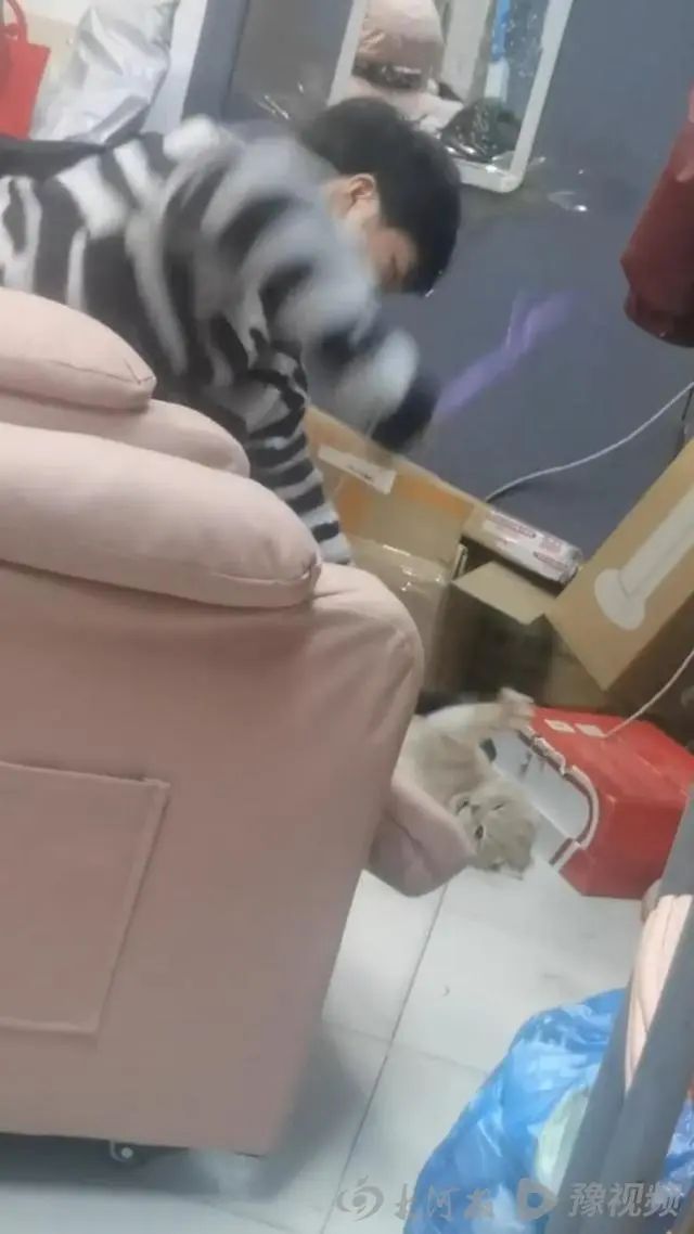 网上流传江西师大男生虐猫片段。